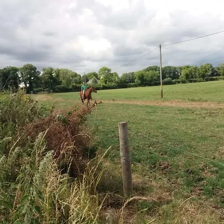 Guest house Castletownmoor Clinic & Permaculture Farm Kells (Meath)