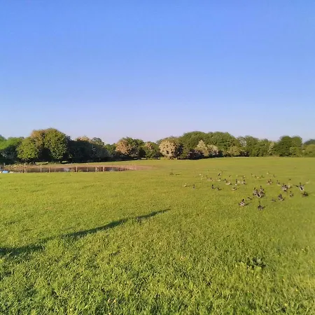 Guest house Castletownmoor Clinic & Permaculture Farm *