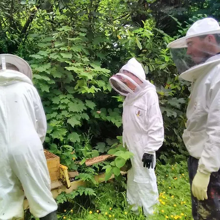 Vendégház Castletownmoor Clinic & Permaculture Farm
