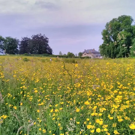 Castletownmoor Clinic & Permaculture Farm