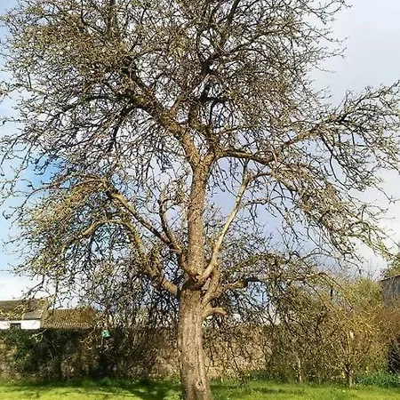 Castletownmoor Clinic & Permaculture Farm Vendégház Kells